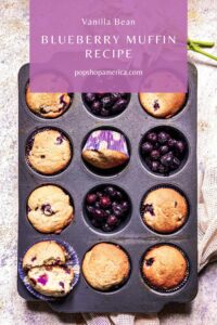 Vanilla Bean Blueberry Muffin Feature Pop Shop America