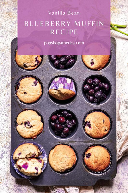 Vanilla Bean Blueberry Muffin Feature Pop Shop America