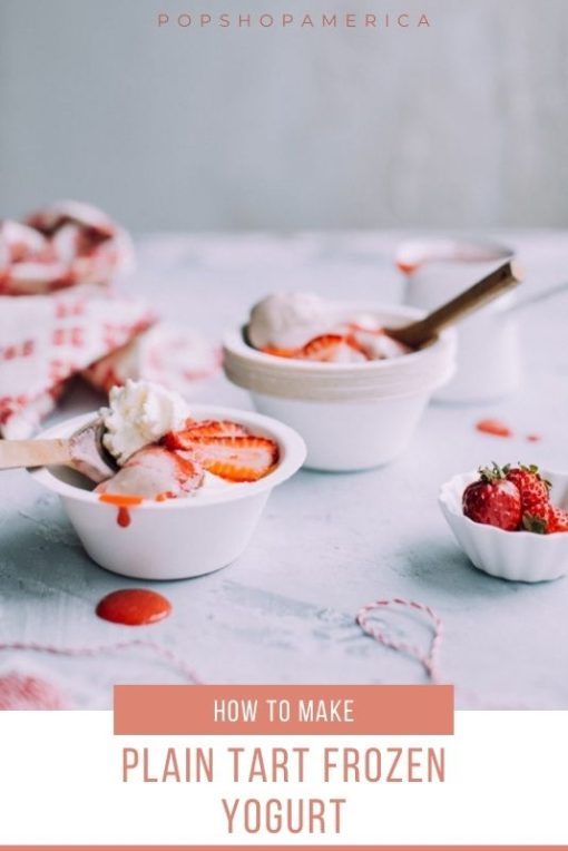 Plain Tart Froyo Recipe Frozen Yogurt