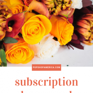 see inside the enjoy flowers monthly sub box reveal