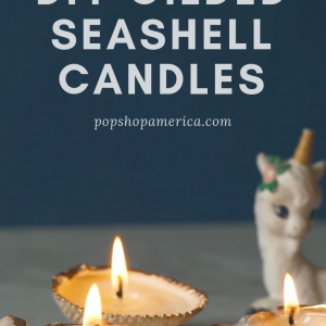 diy gilded seashell candles craft tutorial pop shop america