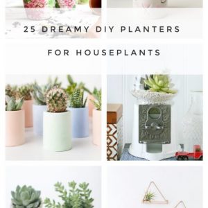25-diy-planters-for-small-houseplants-and-terrariums-510x908
