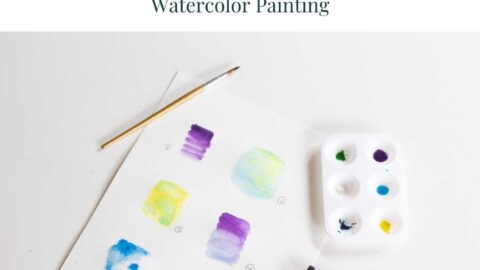 Watercolor Color Blending and Brush Techniques for Beginners