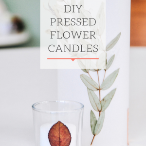 https://popshopamerica.com/wp-content/uploads/2019/03/How-to-Make-Pressed-Flower-Candles-diy-pop-shop-america-300x300.png