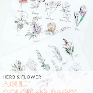 herb and flower adult coloring pages diy pop shop america