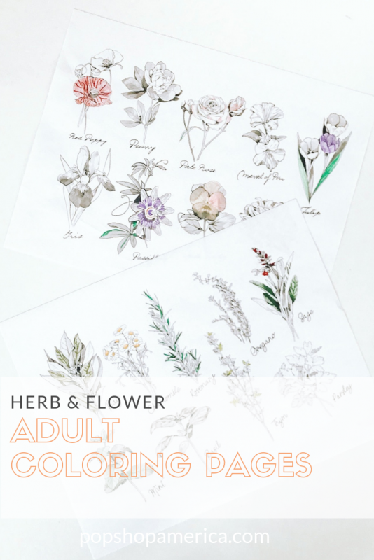 herb and flower adult coloring pages diy pop shop america