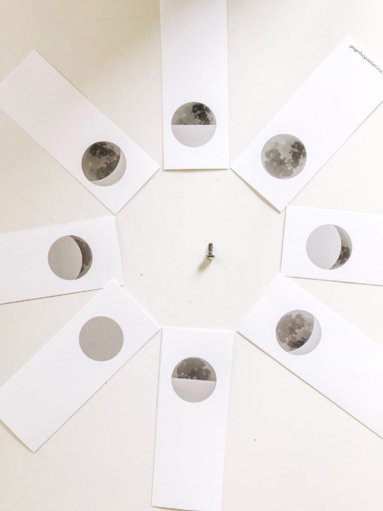 How to Make a Moon Phase Flip Book with Printable