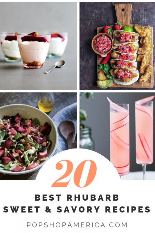 20 best rhubarb recipes round up sweet and savory dishes pop shop america