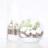 featured-diy-terrarium-with-succulents-kit-pop-shop-america-scaled_square