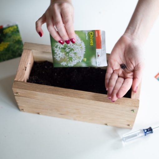 plant-herb-seeds-to-the-diy-wood-planter-box-pop-shop-america_square