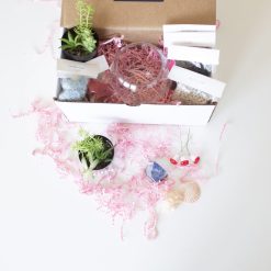supplies-inside-the-make-your-own-succulent-terrarium-kit-scaled_square