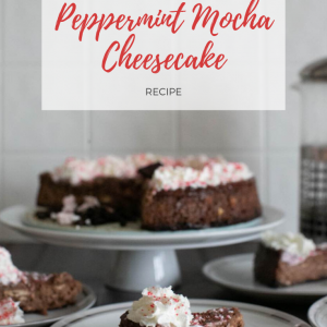 peppermint mocha cheesecake recipe pop shop america