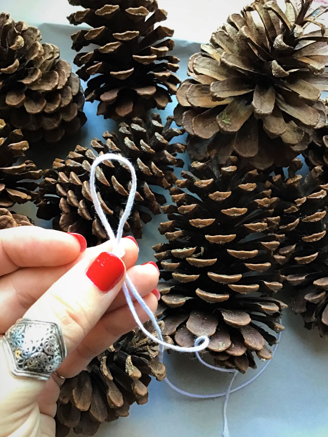 Pine Cone Fire Starter DIY Tie a Loop