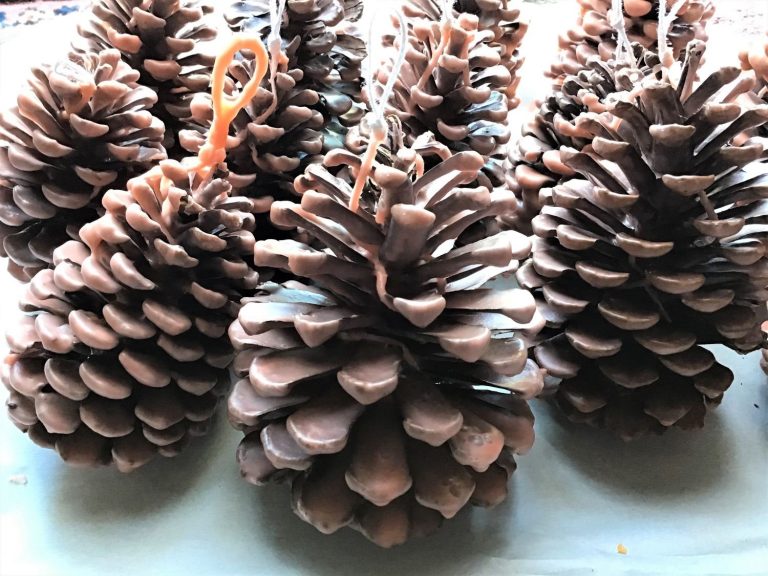 How to Make a Pine Cone Fire Starter