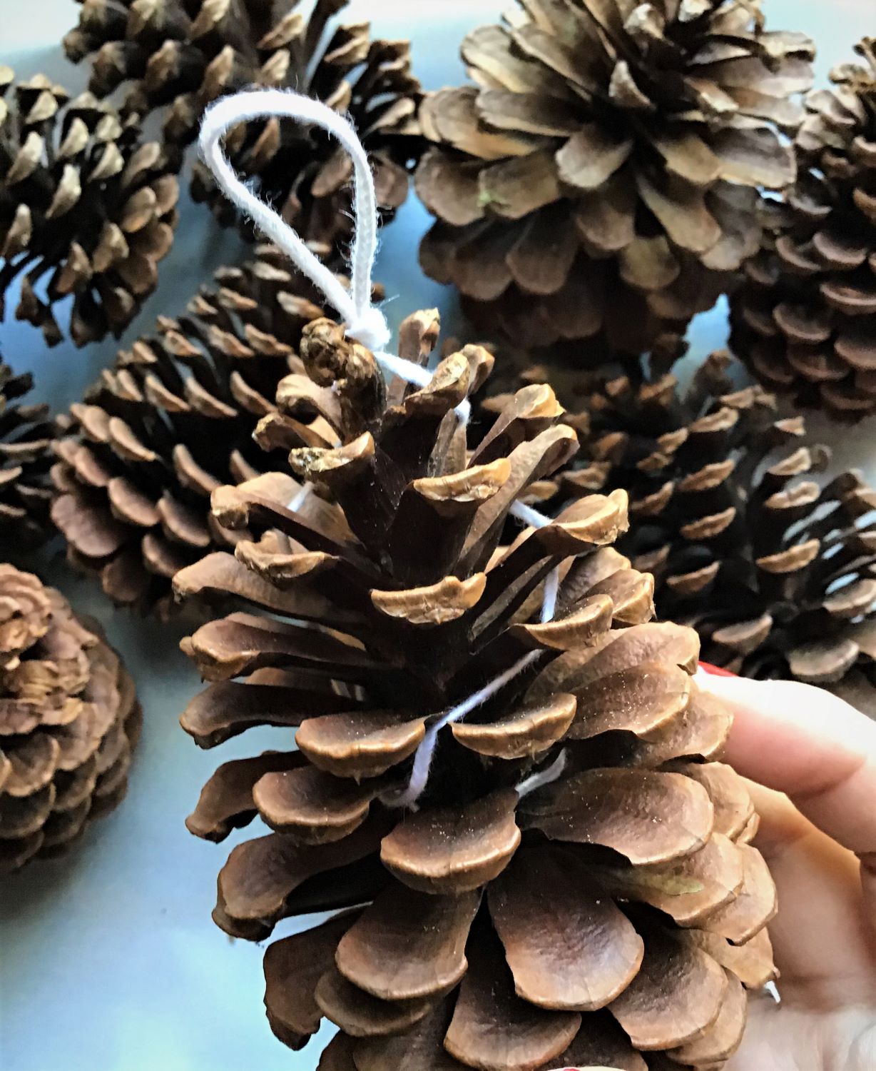 Pine Cone Fire Starter DIY Wrapped Wick Close Up