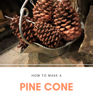 how to make a pine cone fire starter pop shop america