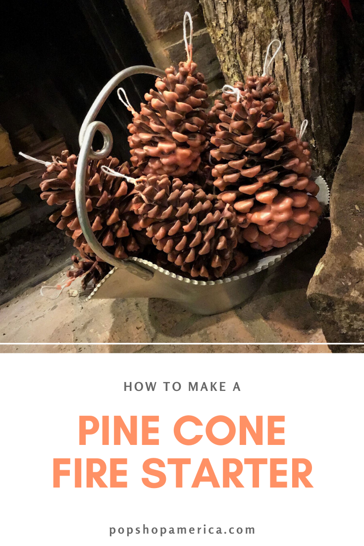 Winter Pinecone Painting Kit