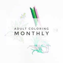 adult coloring monthly subscription box pop shop america web