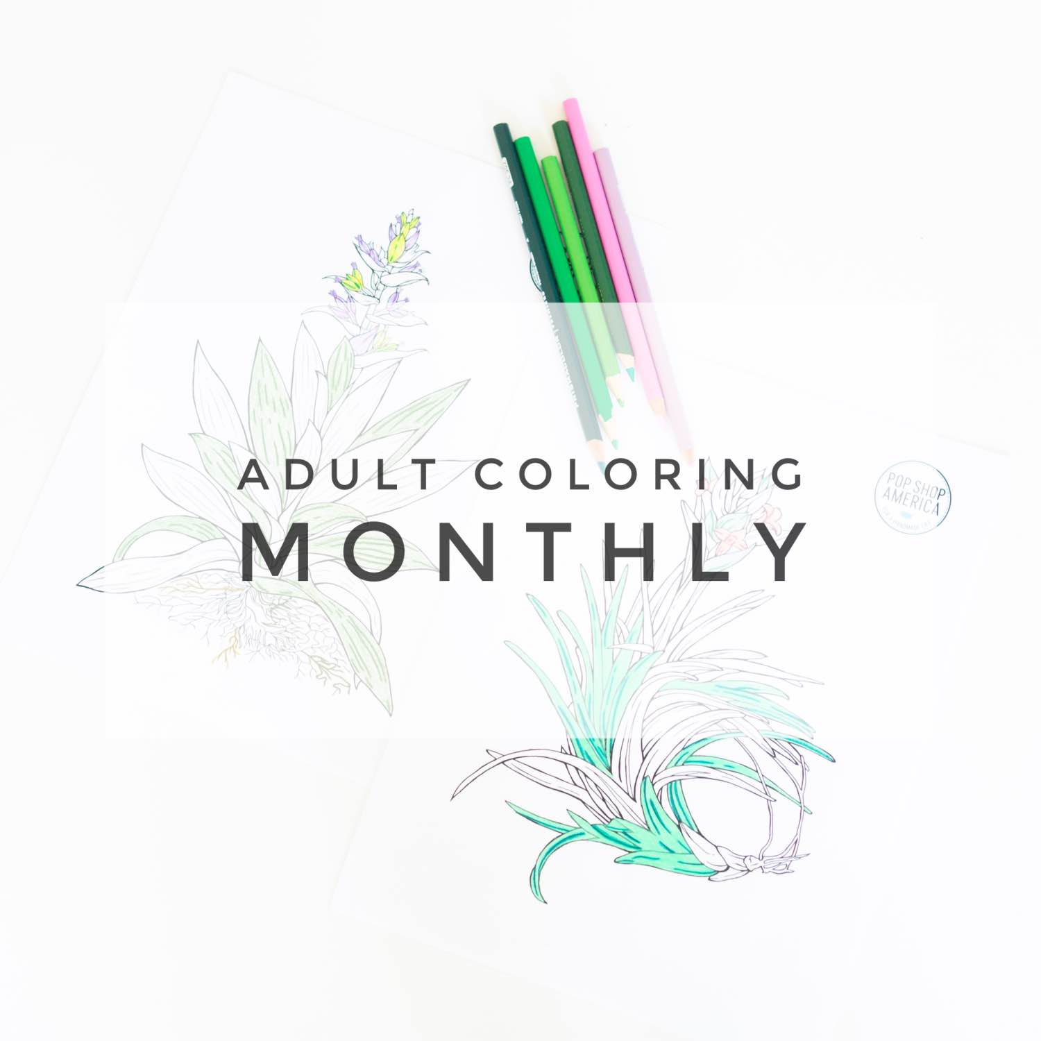 Download Adult Coloring Monthly Subscription Box | Pop Shop America