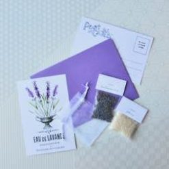 miniature-lavender-sachet-craft-kit-pop-shop-america_square