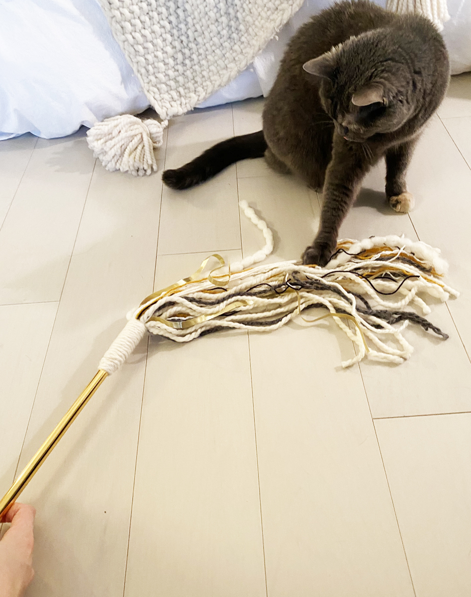 Diy yarn shop cat toys