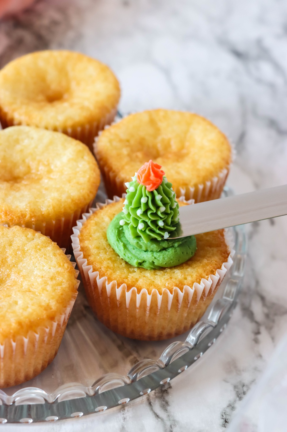 how to make vanilla cupcakes with succulents