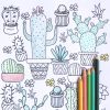 succulent-adult-coloring-pages-hero-pop-shop-america_square