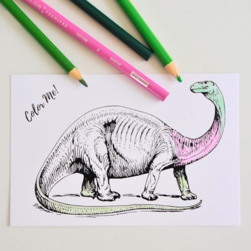 up-close-with-prismacolors-dinosaur-coloring-sheet-pop-shop-america_square