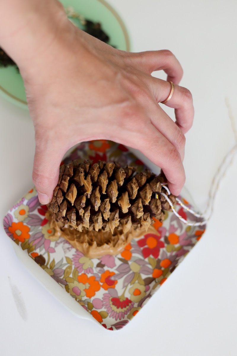 Easy DIY Pine Cone Bird Feeder   Dip The Pine Cone In Peanut Butter Bird Feeder Tutorial 