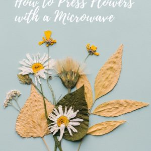 how-to-make-pressed-flowers-with-a-microwave-diy-pop-shop-america