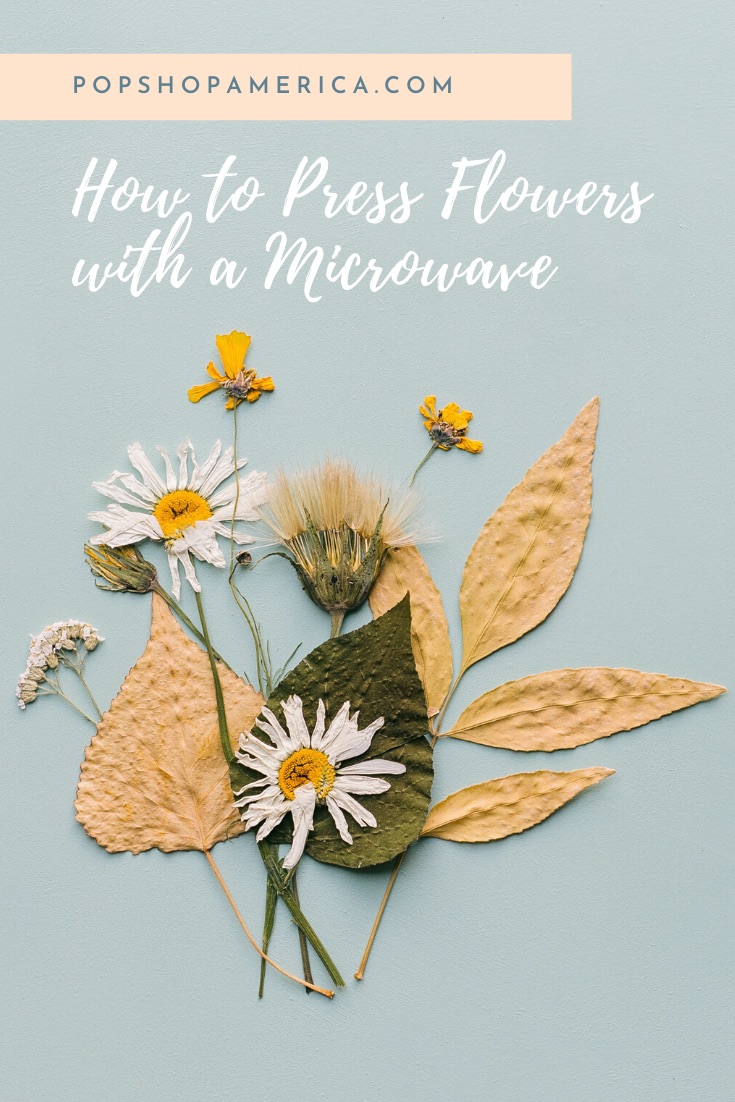How to Press Flowers with a Microwave
