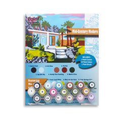 mid century modern home paint by numbers kit