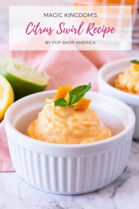 magic kingdom's citrus swirl frozen dessert recipe