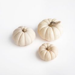white-faux-pumpkin-for-diy-kit_square