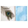 blue-cyanotype-project-diy-square