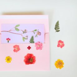 pressed-flower-postcard-from-pop-shop-america_square