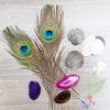 supplies-to-make-cyanotypes-craft-tutorial_square