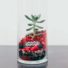 diy-cylinder-terrarium_square