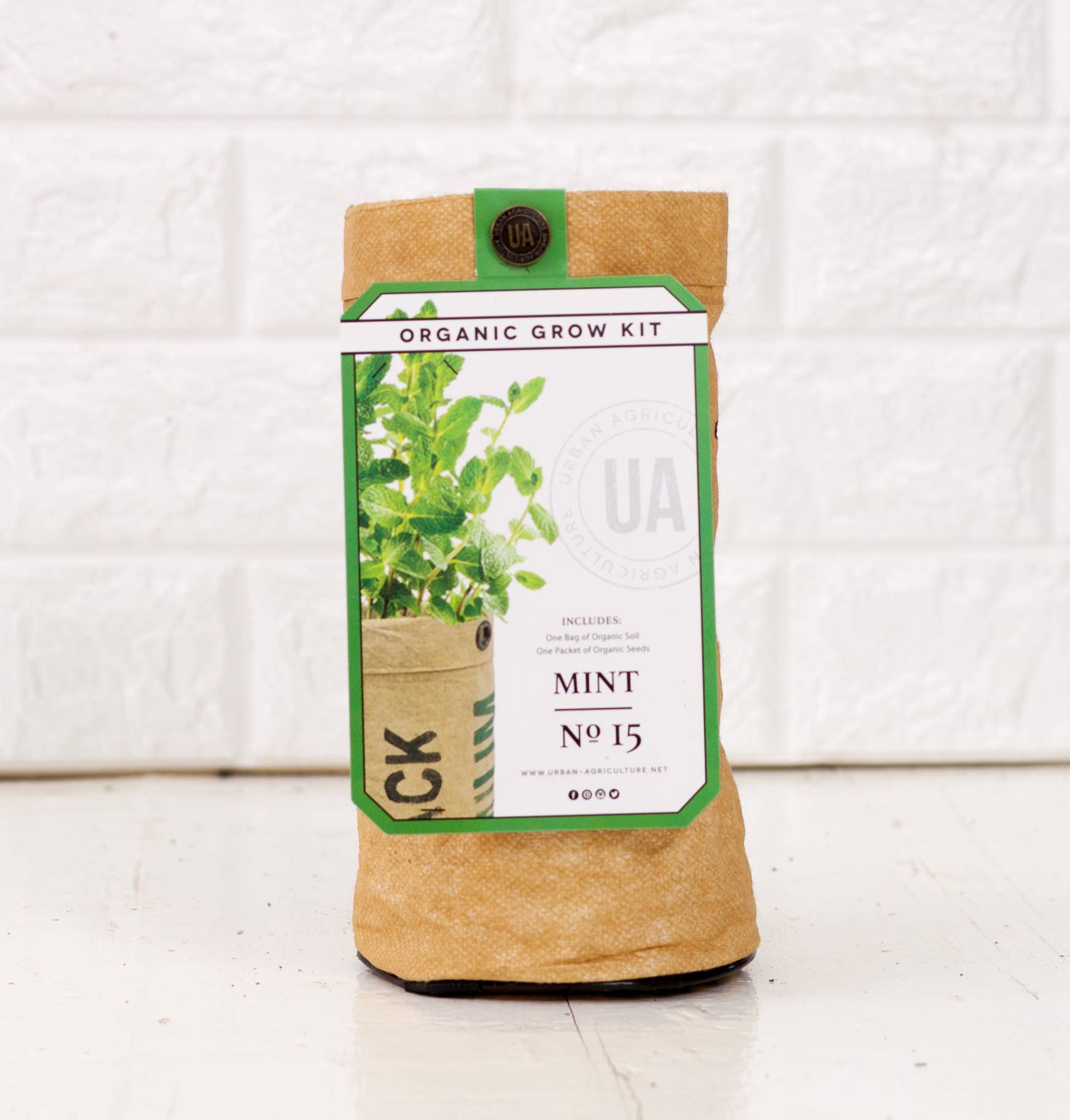 https://popshopamerica.com/wp-content/uploads/2021/01/organic-mint-herb-growing-kit.jpg