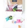 succulents-terrarium-kit-gardening-supplies-square