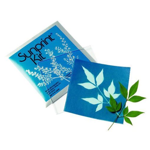 sunprint kit for leaf prints