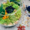 terrarium-for-instagram-photo_square