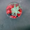 top-view-diy-gardening-terrarium-kit_square