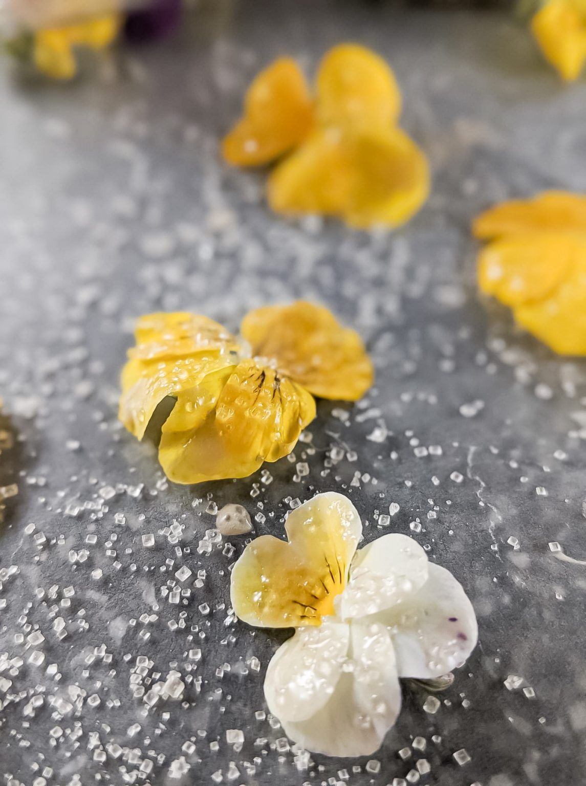 How to Make Lovely Edible Candied Flowers