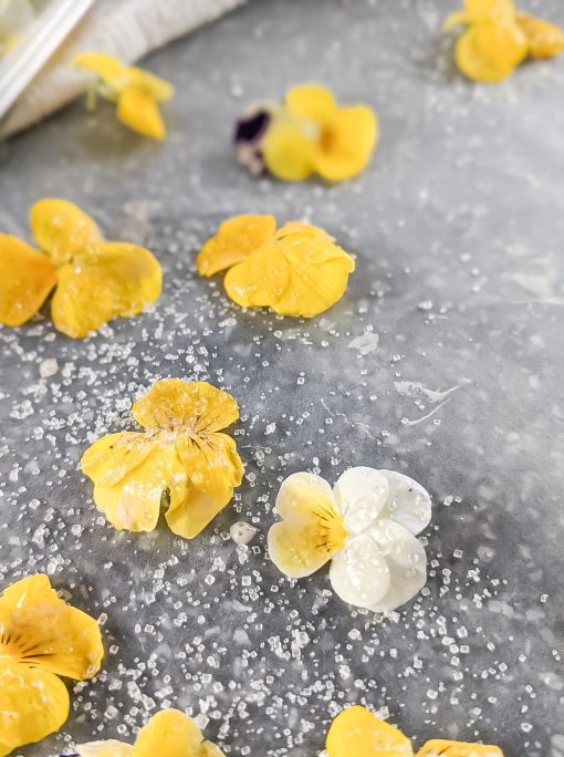 How to Make Lovely Edible Candied Flowers