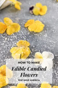 how to make candied flowers pop shop america
