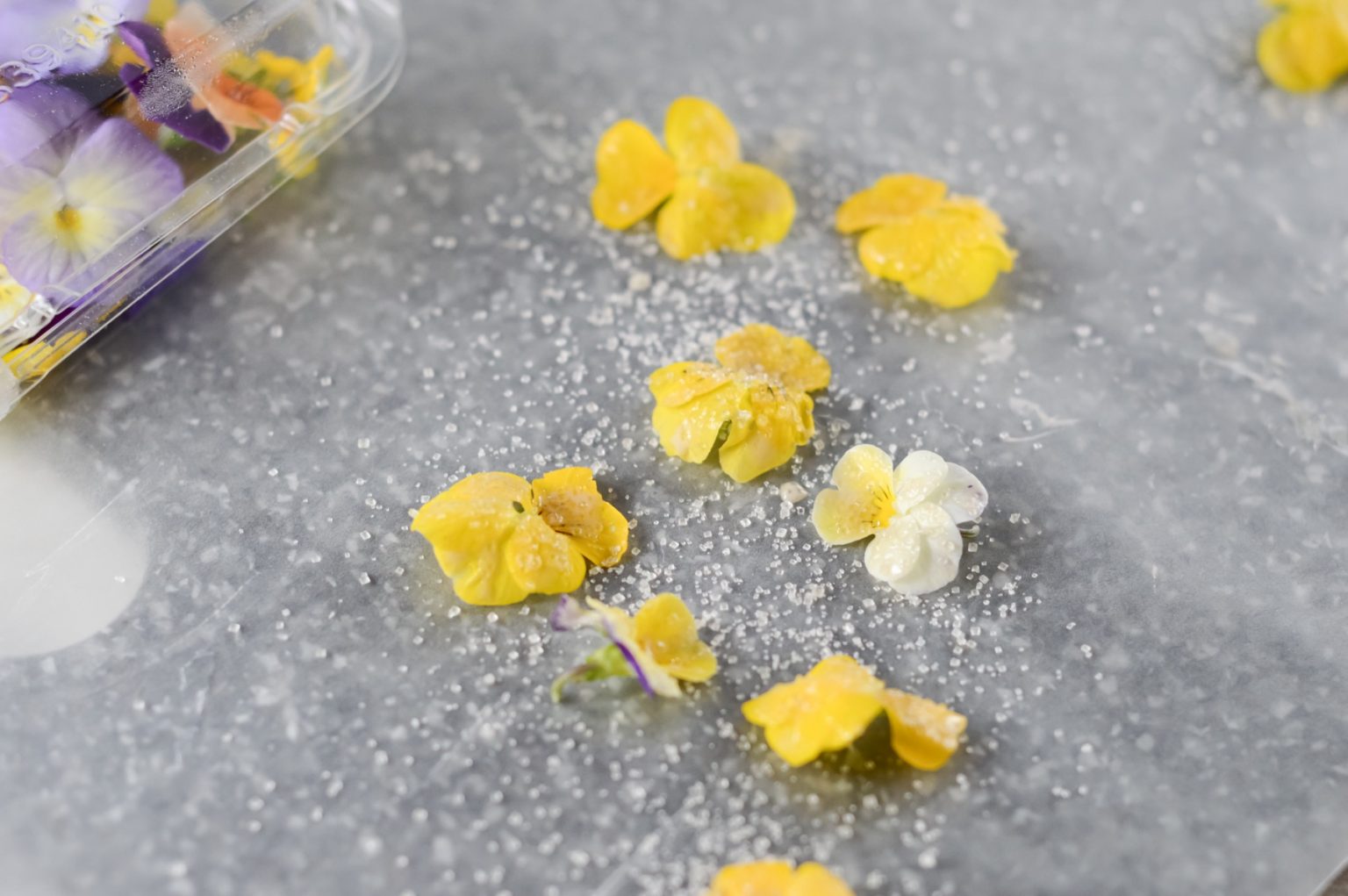 How to Make Lovely Edible Candied Flowers – Pop Shop America