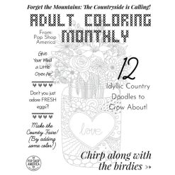 Country-Doodle-Adult-Coloring-Book-Cover-square