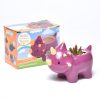 gardening kit dinosaur planter terrarium kit