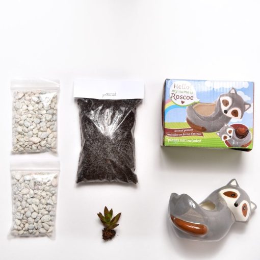 supplies in raccoon terrarium planter kit
